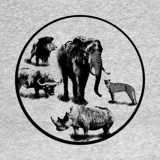 Big Five - Kenya / Africa T-Shirt